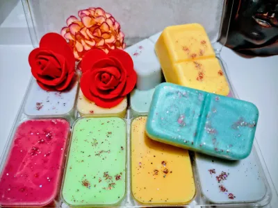 Perfume Collection Wax Melt Set 2
