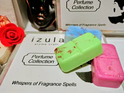Perfume Collection Wax Melt Set 2