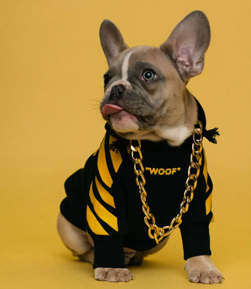 Pet Supplies