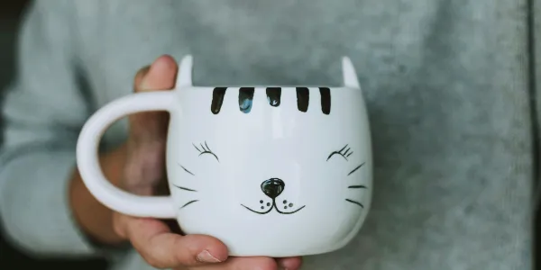 Kitchen and Mugs